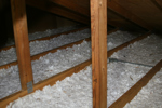 IMG_1607, Matting 1.JPG